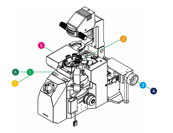 Line drawing of an Evident IX85 inverted microscope which is annotated to show possibilities for automation with Prior's microscopy components.