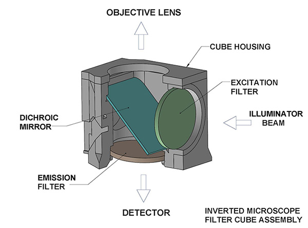 Inverted microscope filter cube assembly, cut away to show the internal components.